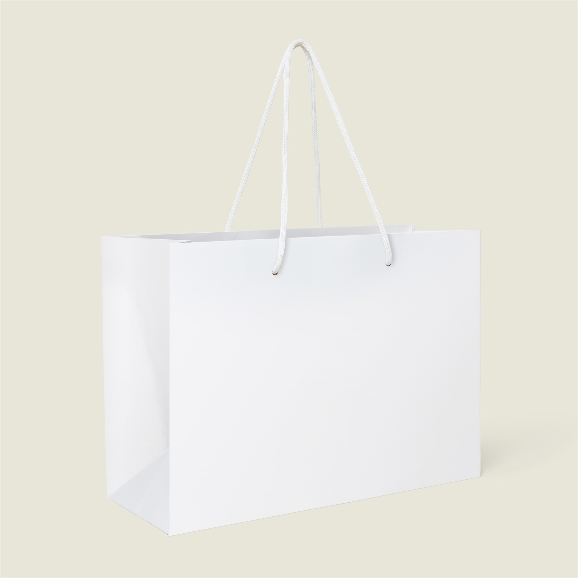Show details for White Luxury Laminated Rope Handle Paper Bags - Plain
