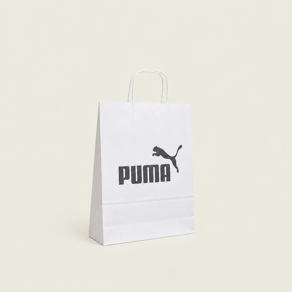 Show details for FSC® Fast Track Twisted Handle Paper Bags