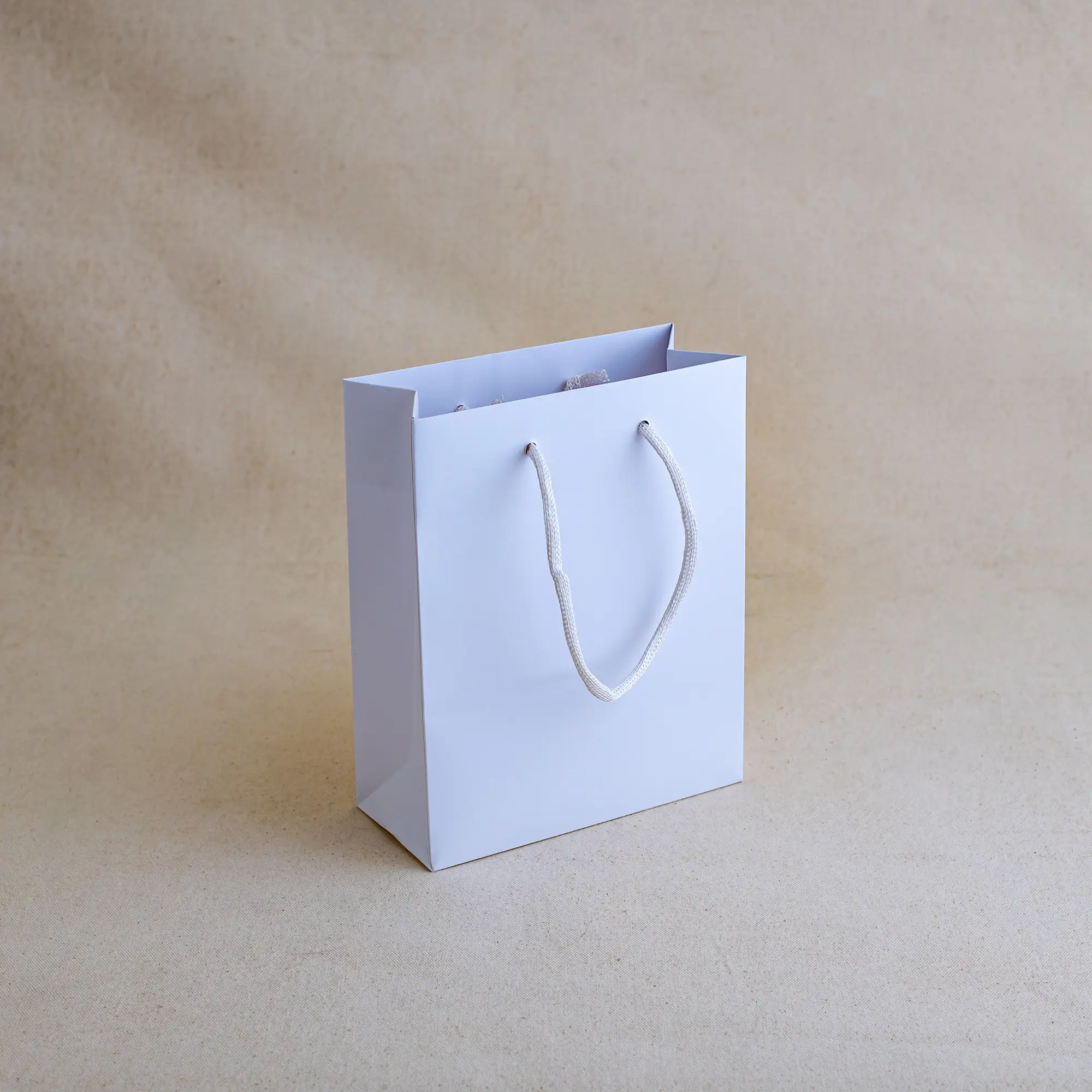 Show details for FSC® Luxury Rope Handle White Kraft Paper Bags - Plain