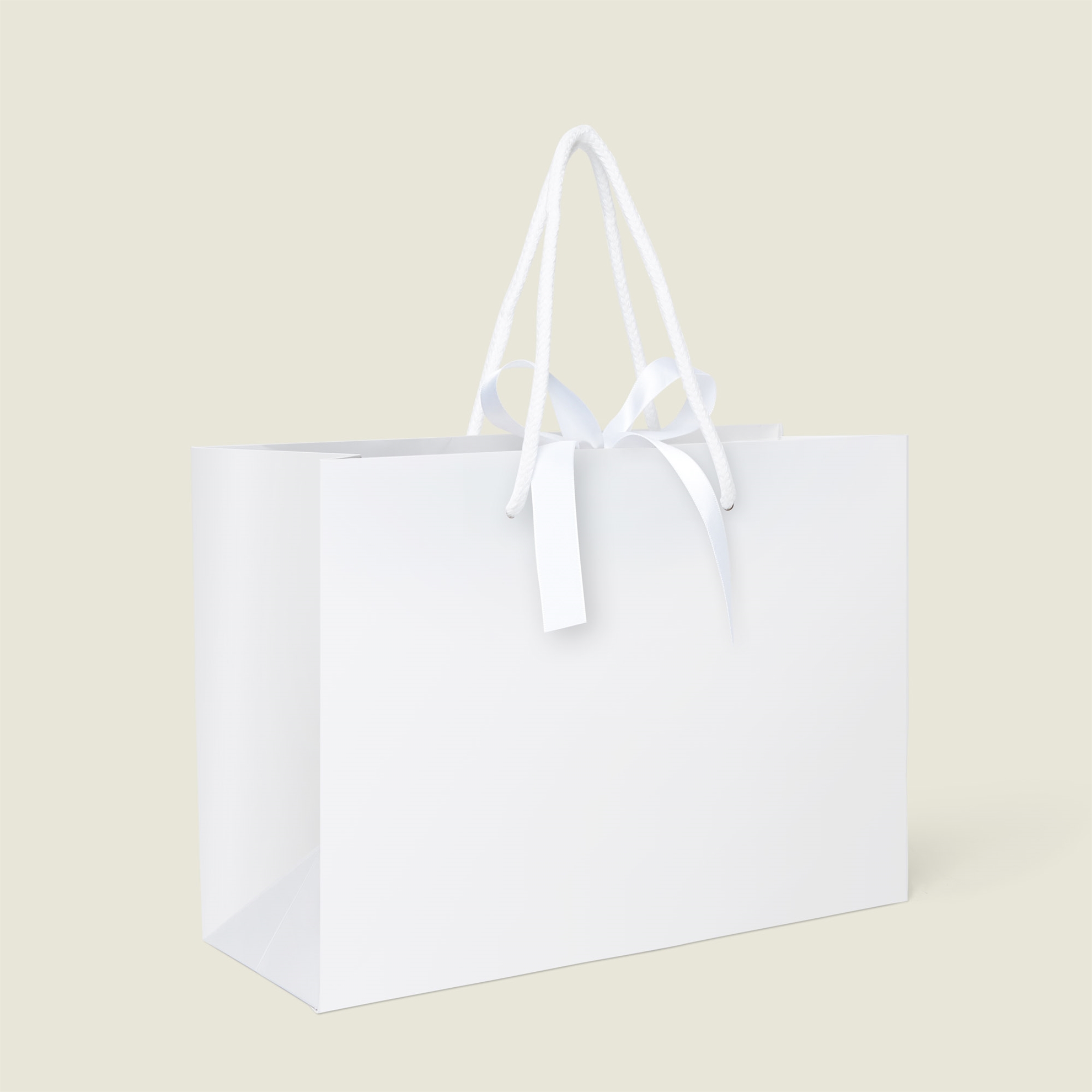 Picture of Uncoated Rope Handle Paper Bags
