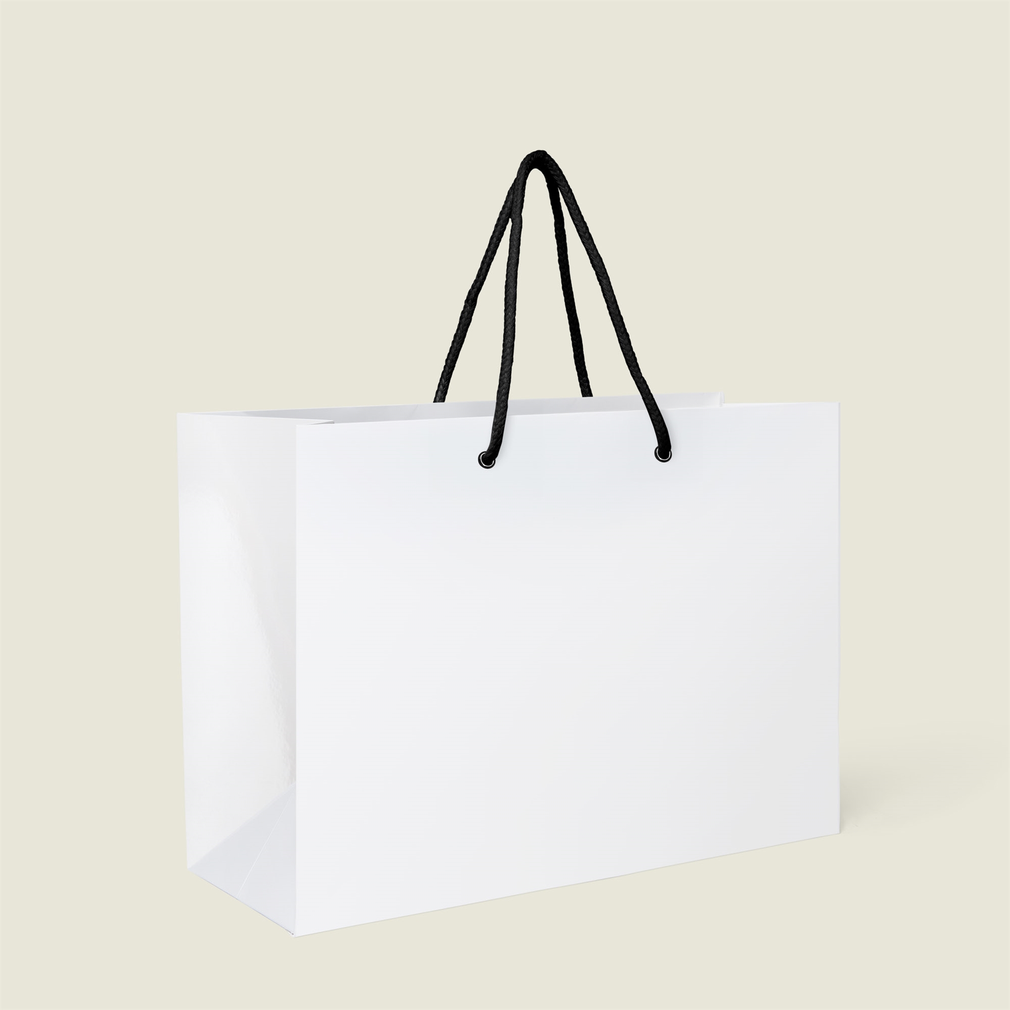 Picture of Laminated Rope Handle Paper Bags